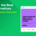 Best ZID Alternatives for eCommerce Success