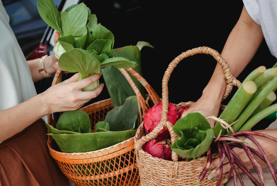 Promote Sustainability & Ethical Shopping